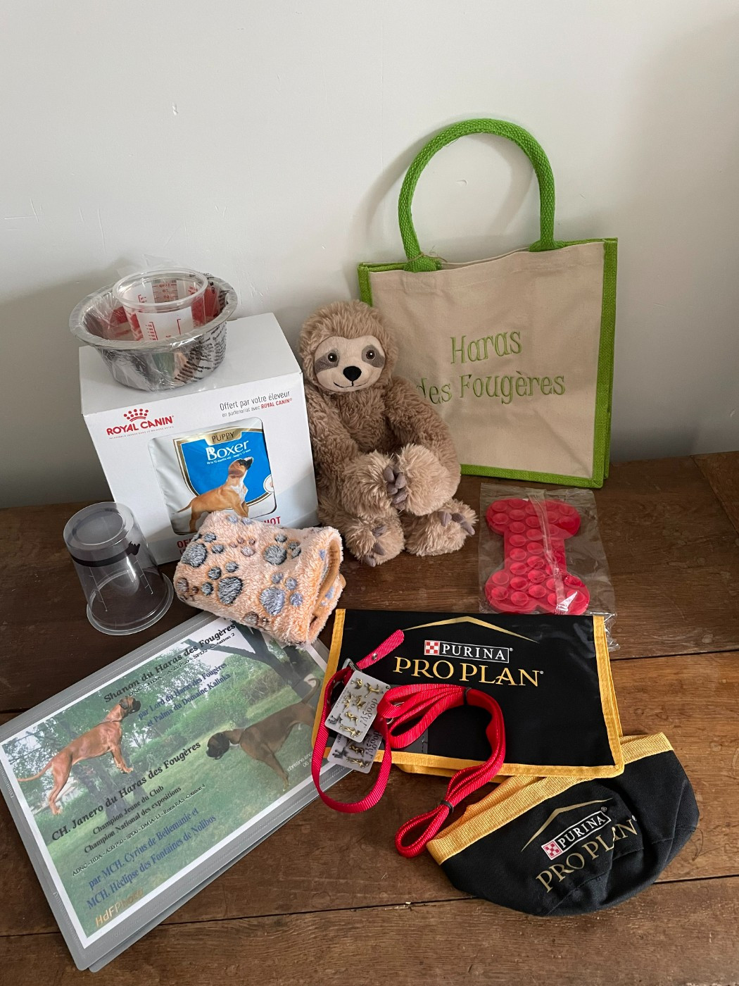 KIT CHIOT (cadeau de depart des BB 2025)