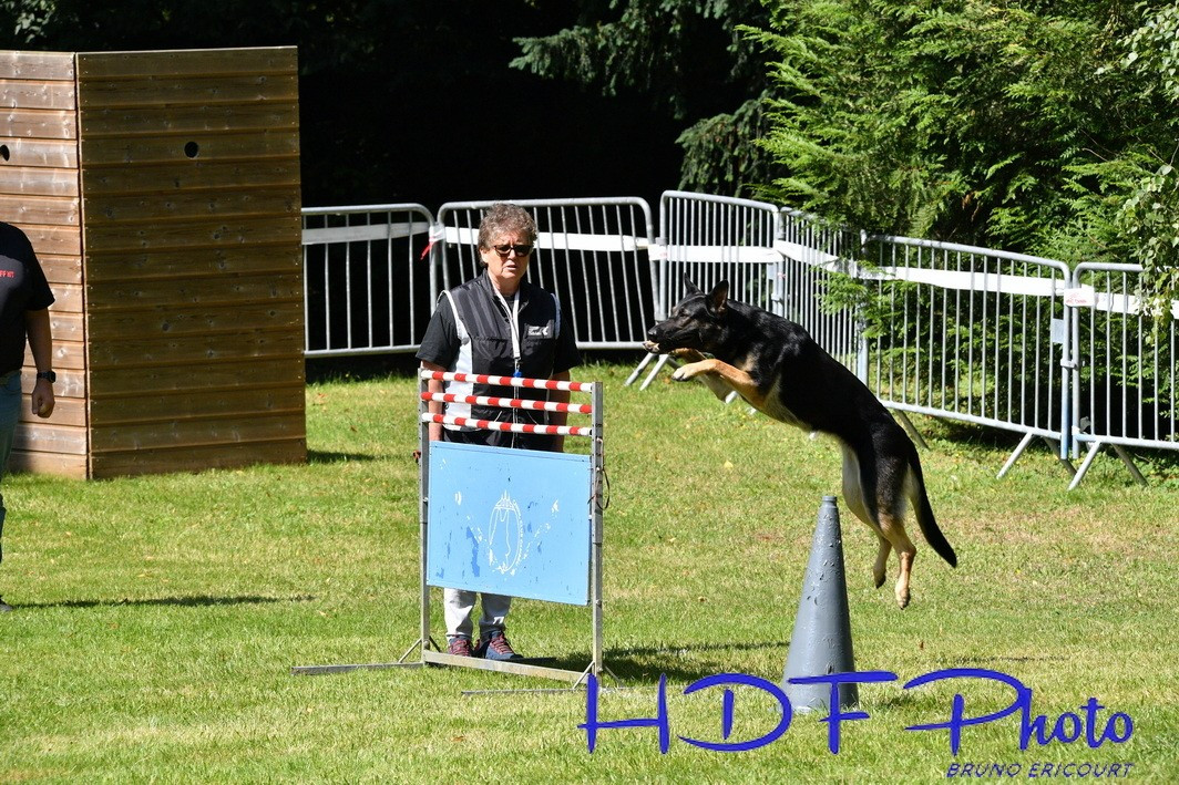 TESLA VALIDE SON NIVEAU 3 en RING !!