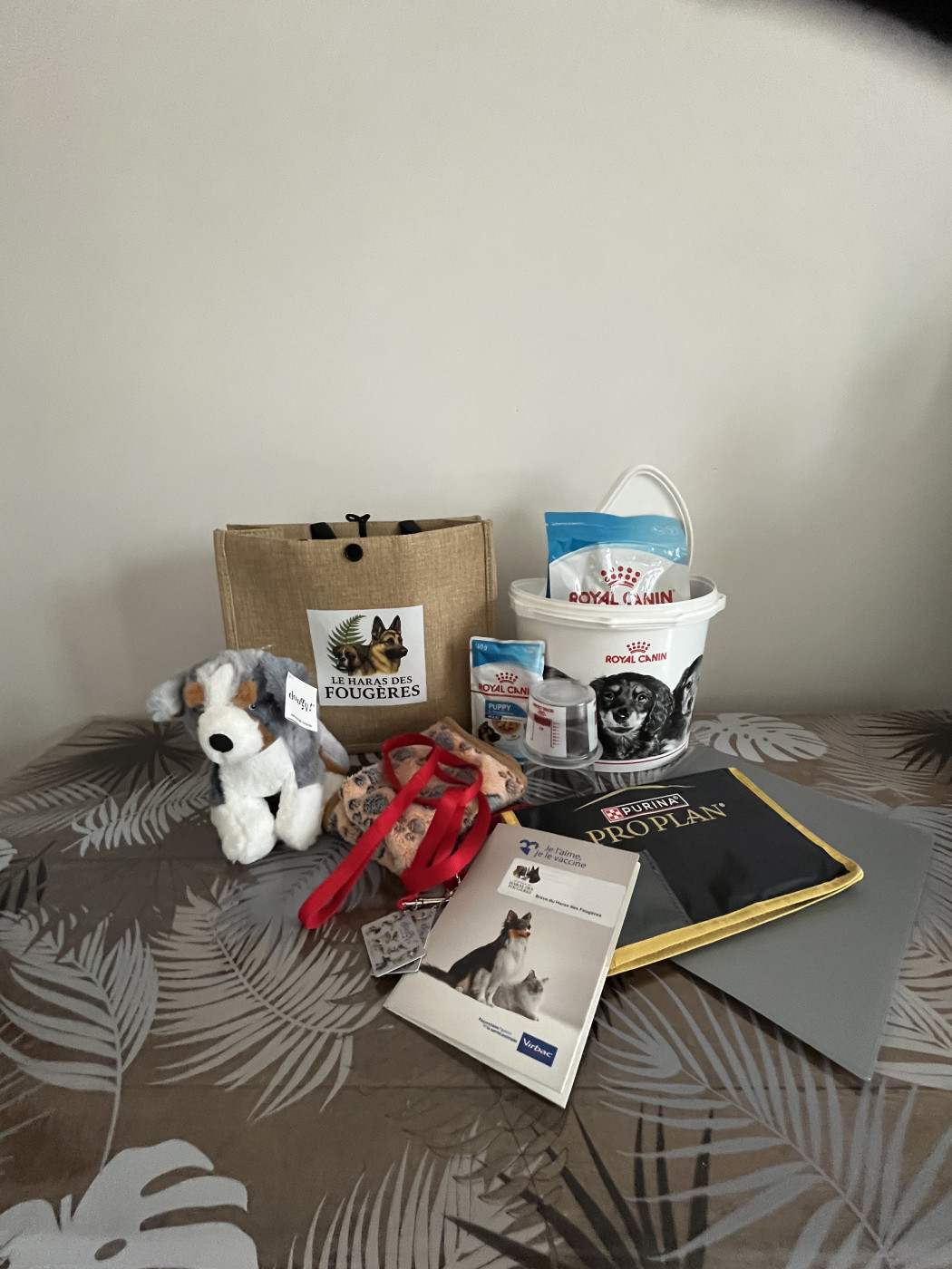 NOS KIT CHIOTS 2026 offert a chaque BB lors de son depart