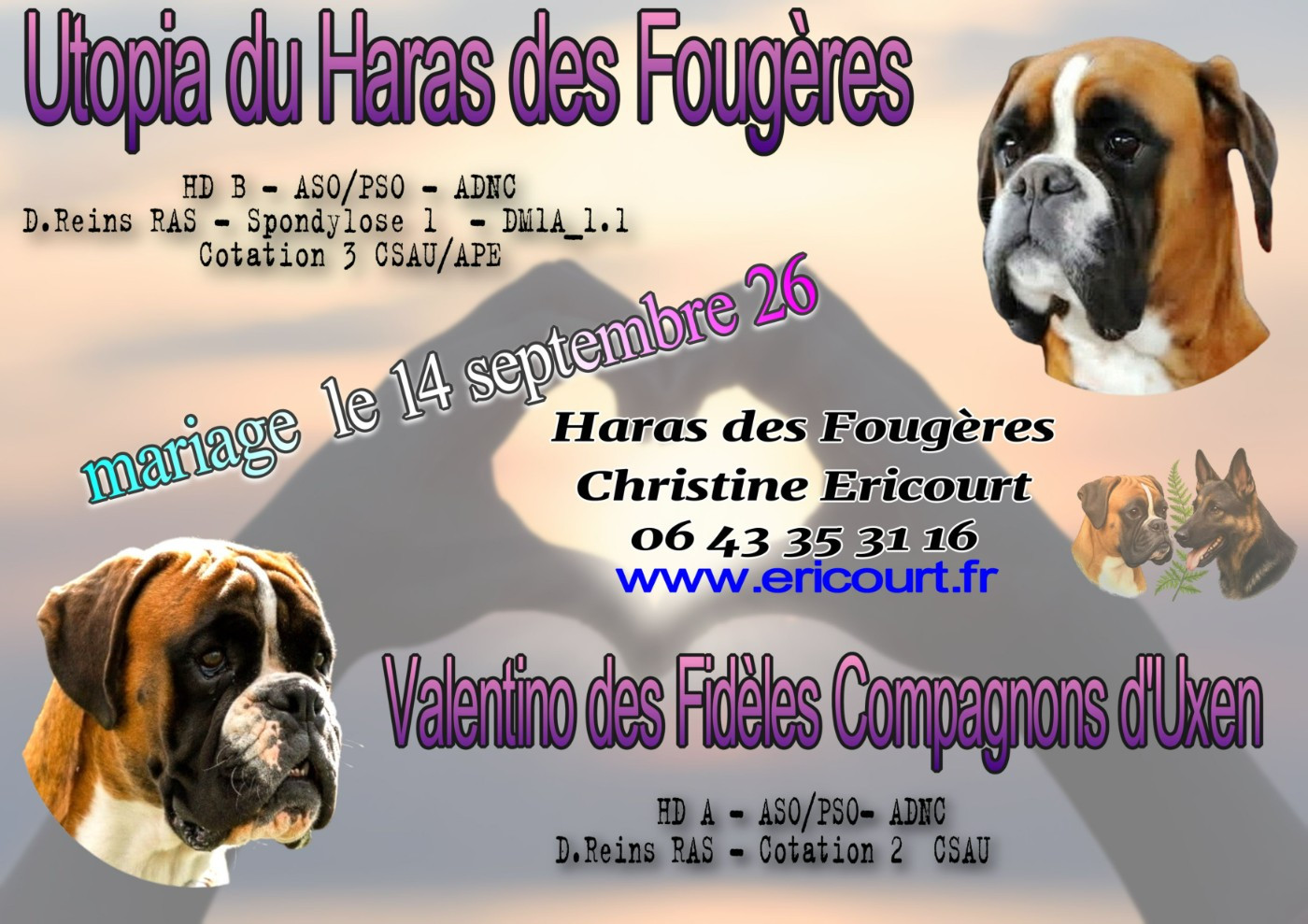 MARIAGE UTOPIA avec VALENTINO ! des BB mi NOV ?