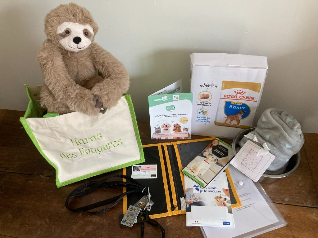   KIT CHIOT (cadeau de depart des futurs BB  de SHANON))